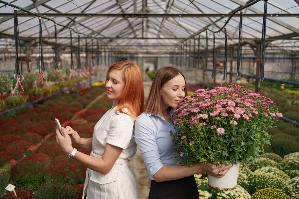 Les aides à la création d'entreprise pour les femmes : un levier d'émancipation économique